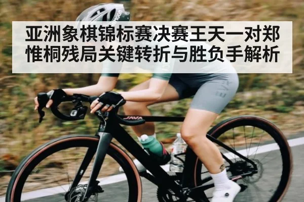 亚洲象棋锦标赛决赛王天一对郑惟桐残局关键转折与胜负手解析