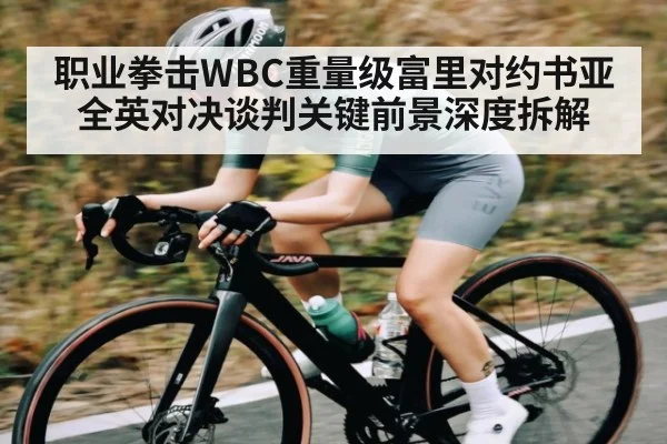 职业拳击WBC重量级富里对约书亚全英对决谈判关键前景深度拆解